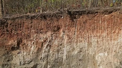 Deep hole in the ground in the jungle. Mine, extraction of mica. India, Asia. Stock Footage 83452541