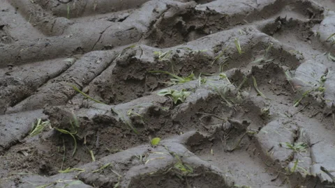 Deep imprinted pattern of tractor tire 4K video Stock Footage 210596974