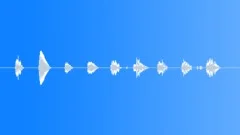 Deep Irritation Young Monkey 1Sound Effect