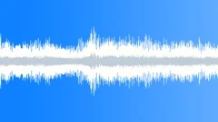 Deep jungle ambianceSound Effect