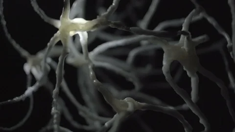Deep learning analog footage real neuron network Stock Footage 104189198
