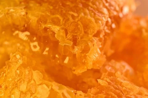 Deep macro of honeycomb wax texture with pale corner Photos