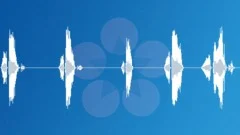 Deep Male Voice Saying StopSound Effect