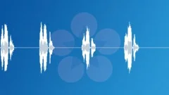 Deep Male Voice Saying You're Welcome Sound Effect