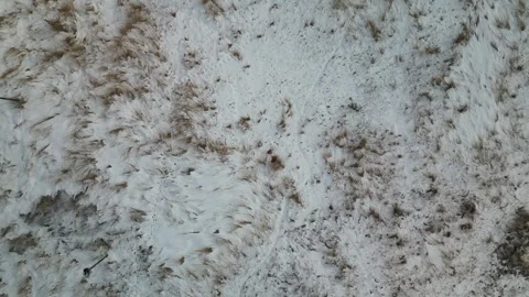 In the deep midwest winter Stock Footage 296425566
