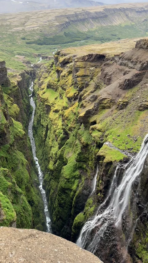 Deep mossy canyon along the trail to Glymur Waterfall in Iceland.  Stock Footage 312232971