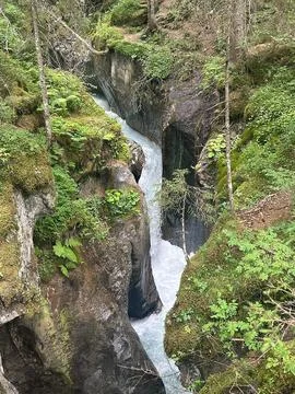 Deep Mossy Mountain Gorge River Stock Photos