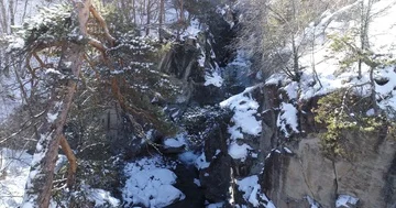 Deep narrow gorge with a mountain stream Stock-Footage 85520210