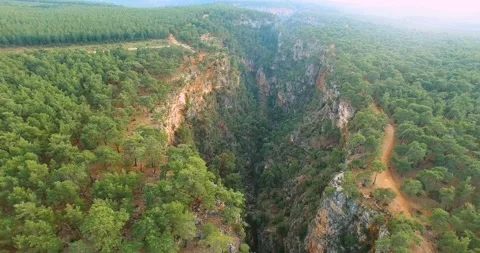 Deep Natural Hole Inside the Forest Top Aerial View Stock Footage 147068678