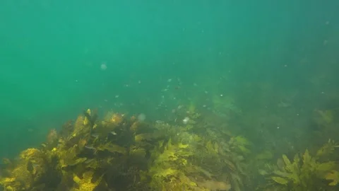 Deep ocean Stock Footage 305665387