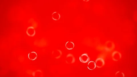 Deep orange and red bubbles - HD motion background loop Stock Footage 81474260