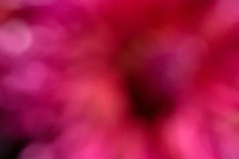 Deep Pink Magenta Abstract Background with Blurred Light Stock Illustration