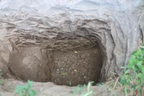 Deep pit in the ground. A roughly circular hole in the ground, surrounded by loo Stock Photos