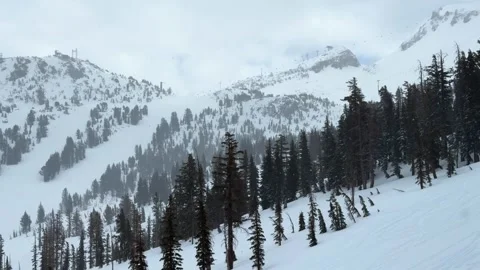 Deep powder snow open glades Mammoth mountain ski resort Hemlocks main lodge Stock Footage 313210392
