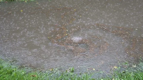In a deep puddle during the rain spinning whirlpool. Video stock 96023858