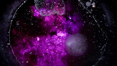 Deep Purple Cosmic Sparkle Abstract Liquid Art Vidéo 335446989