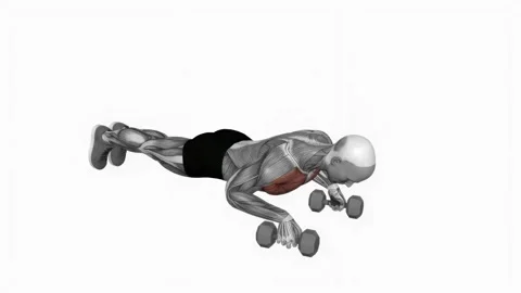 Deep Push-Up fitness exercise workout animation male muscle highlight 4K Video stock 243985906
