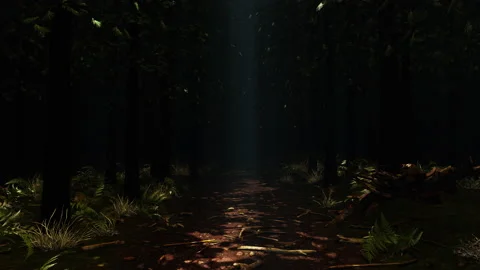 Deep In The Rainforest 01 Stock Footage 156965060