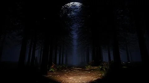 Deep In The Rainforest Illustrazione stock