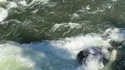 Deep Rapids Stock Footage 209593989