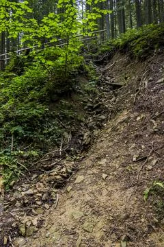 Deep ravine in the forest Stock Photos