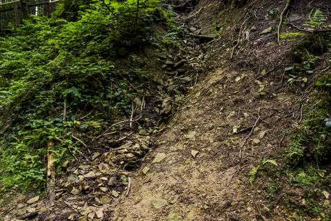 Deep ravine in the forest Stock Photos