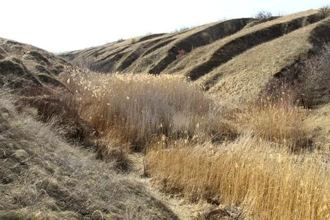 Deep ravine Stock Photos