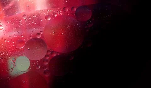 Deep Red Abstract Oil Bubbles With Copy Space Stock Photos