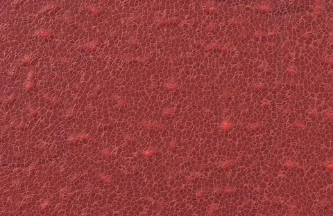 Deep red cracked earth leather scale pattern abstract surface texture. Illustrazione stock