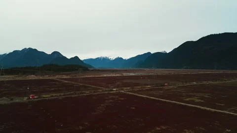 Deep red dormant cranberry fields stretch toward dark imposing mountain peaks Stock Footage 337016370