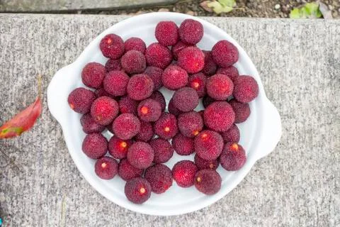Deep red fresh picked lychee fruit in a white bowl 스톡 사진