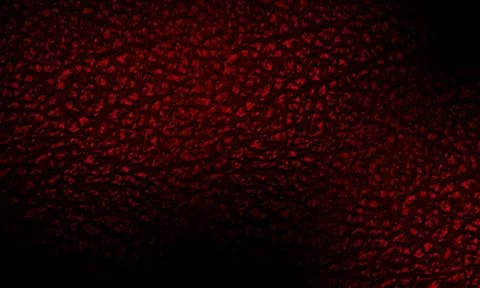 Deep Red Leather Texture with Gradient Shadow dark Stock Illustration