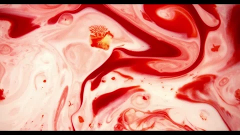 Deep red paint flowing through white liquid creating trails Video stock 329754481