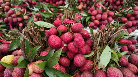 Deep red ripe lychee clusters for sale at local market Video stock 314558059