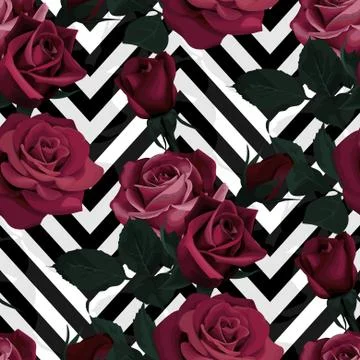 Deep red roses vector seamless pattern. Dark flowers on black and white chevron 스톡 일러스트
