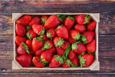 Deep red strawberries picked in a farmer wooden box on dark colored wooden ta Stock Photos