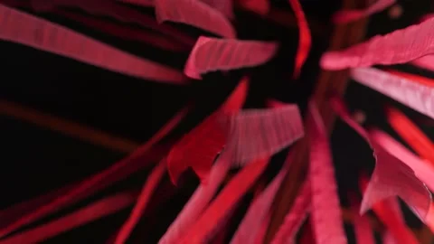 Deep red stripes moving gently on black background. Conceptual romantic story of Stock Footage 131172046