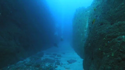 Deep Reef Wall Stock Footage 735763