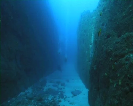 Deep Reef Wall Stock Footage 735899