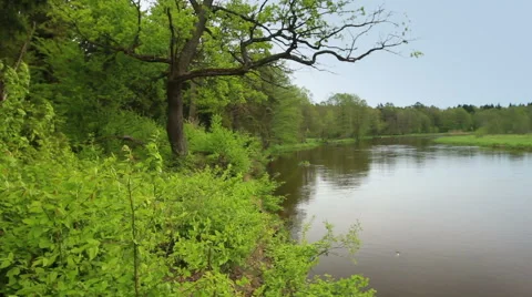 Deep river Видео 50283441