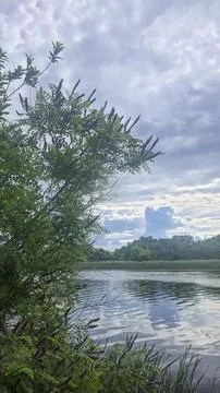 A deep river surrounded by trees and plants. Thickets of reeds. Voluminous cl Stock-Fotos