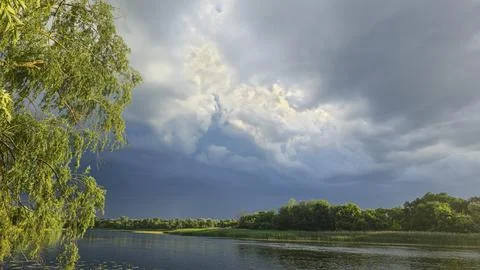 A deep river surrounded by trees and plants. Thickets of reeds. Voluminous cl Фото
