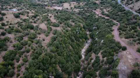 Deep rugged canyon with river and thick shrubs in rural Greece 動画素材 321533563