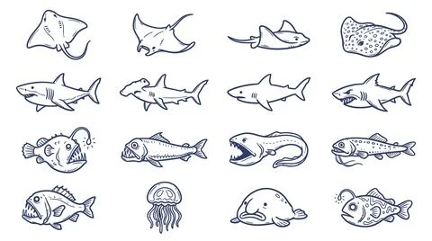 Deep sea creature illustrations featuring sharks rays and bioluminescent fish イラスト素材