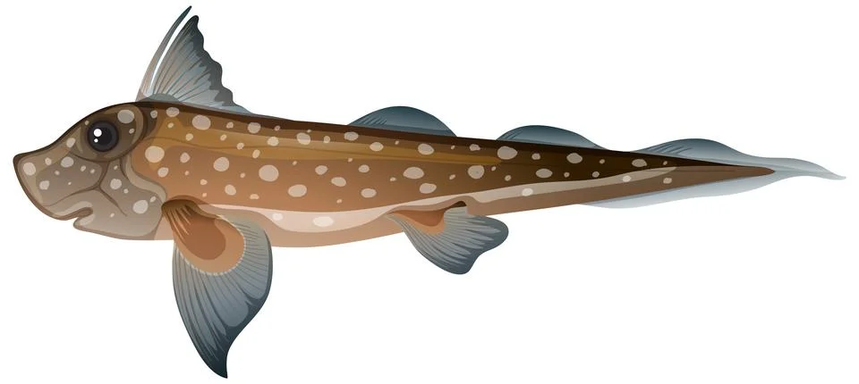 Deep sea creatures Chimaera fish Stock Illustration