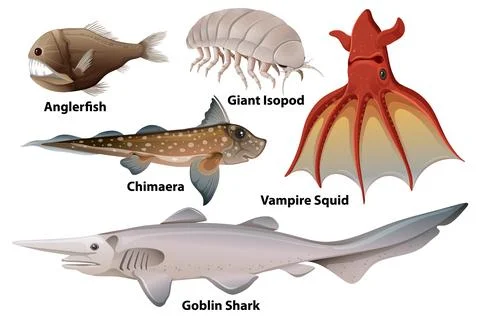 Deep Sea Creatures Collection Stock Illustration
