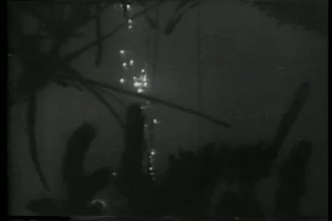 Deep sea diver resurfacing Stock Footage