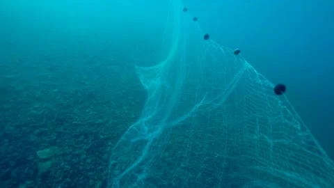 deep sea fishing net Facikono Large Rubber Heavy Duty Extra Large Landing Net for Saltwater Aluminum Fishing Net Telescoping Handle with 6pcs Soft Jig Swimbait, Extends to 72-94in : Sports & Outdoors Featuring a hand reel for smooth line management Wide Fishing Net on the