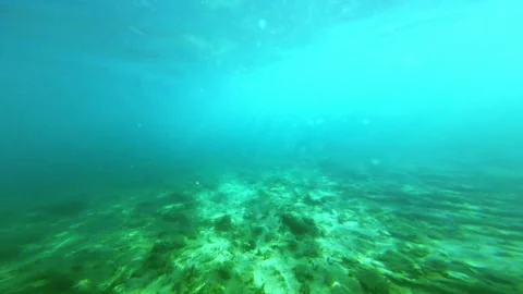Deep sea Stock Footage 295461881