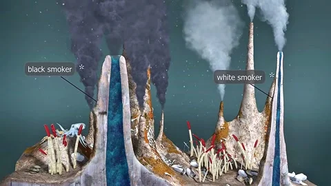 Deep sea hydrothermal vents ecosystem Stock Video Pond5